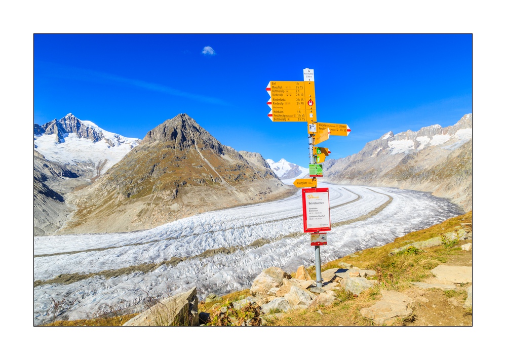 Aletschgletscher #36271