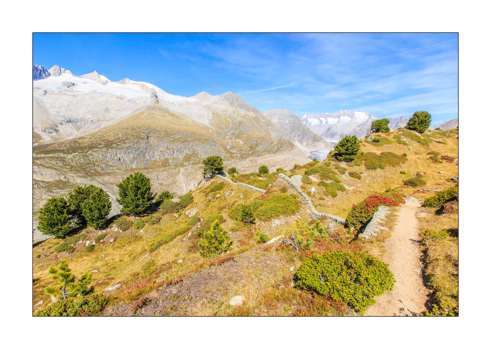 Aletschgletscher #36320