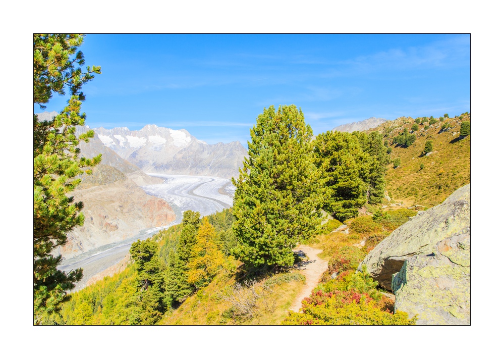 Aletschgletscher #36347