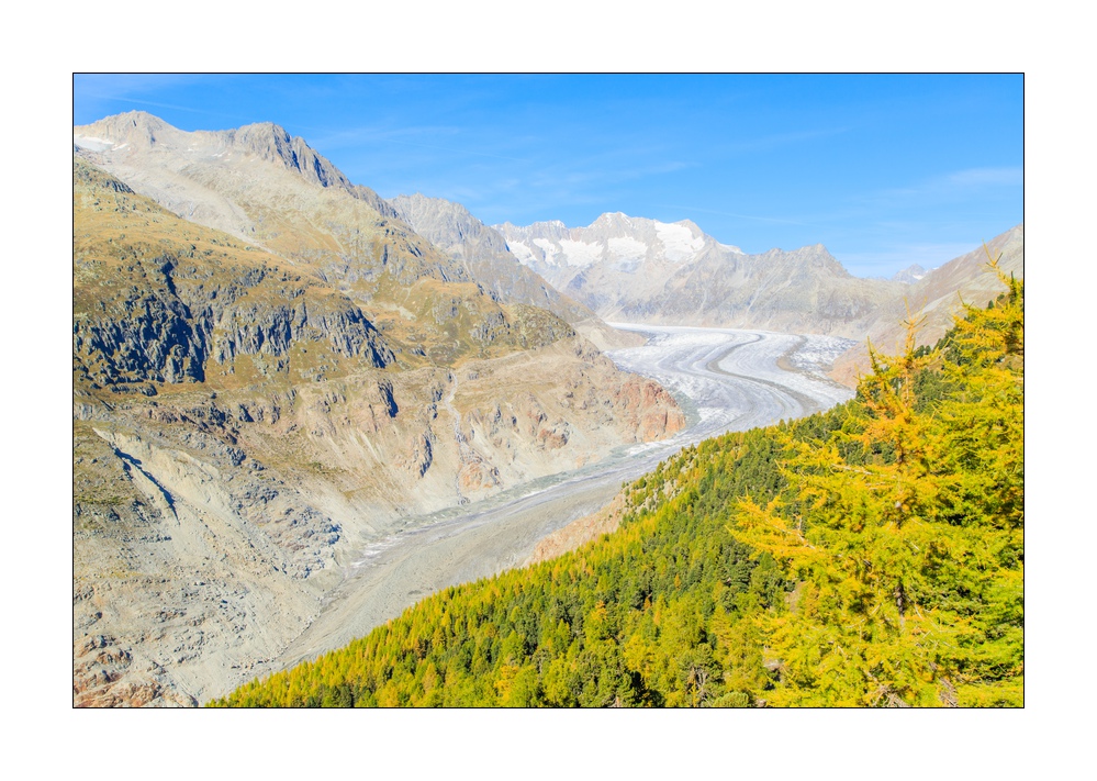 Aletschgletscher #36356