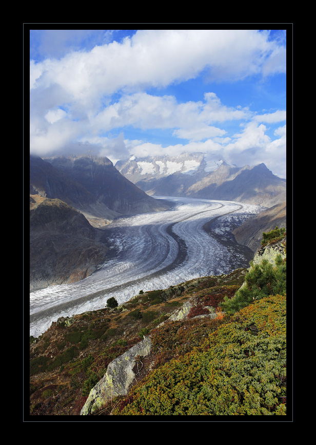 Aletschgletscher #16468