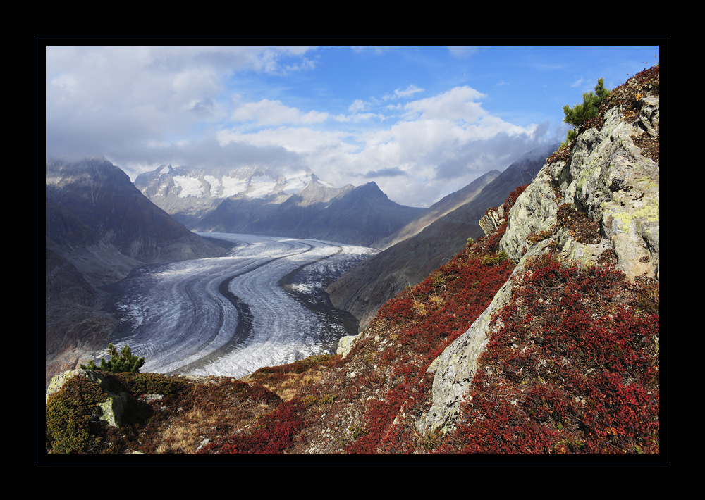Aletschgletscher #16476