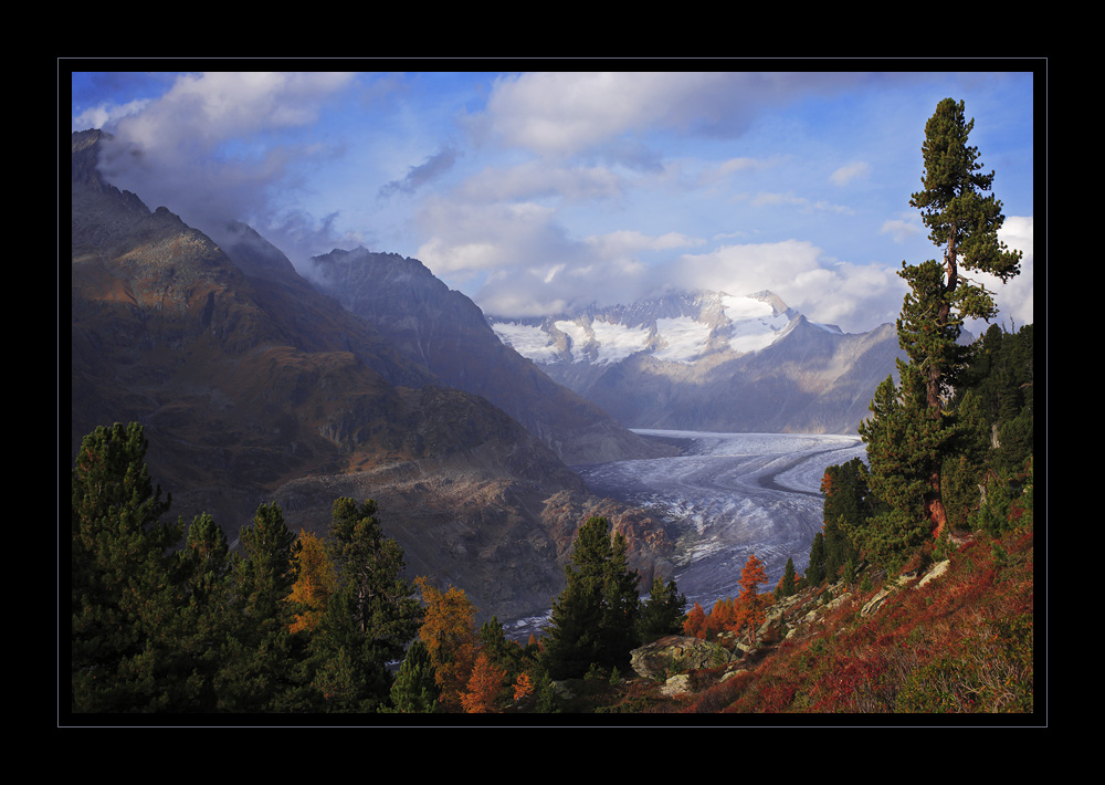 Aletschgletscher #16497