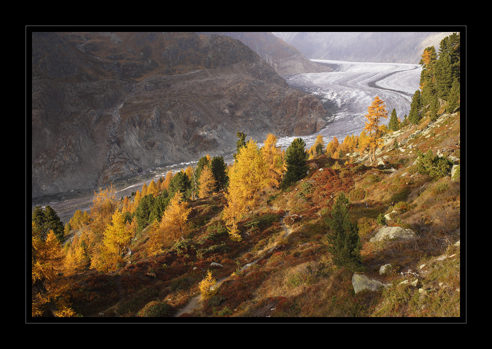 Aletschgletscher #16509