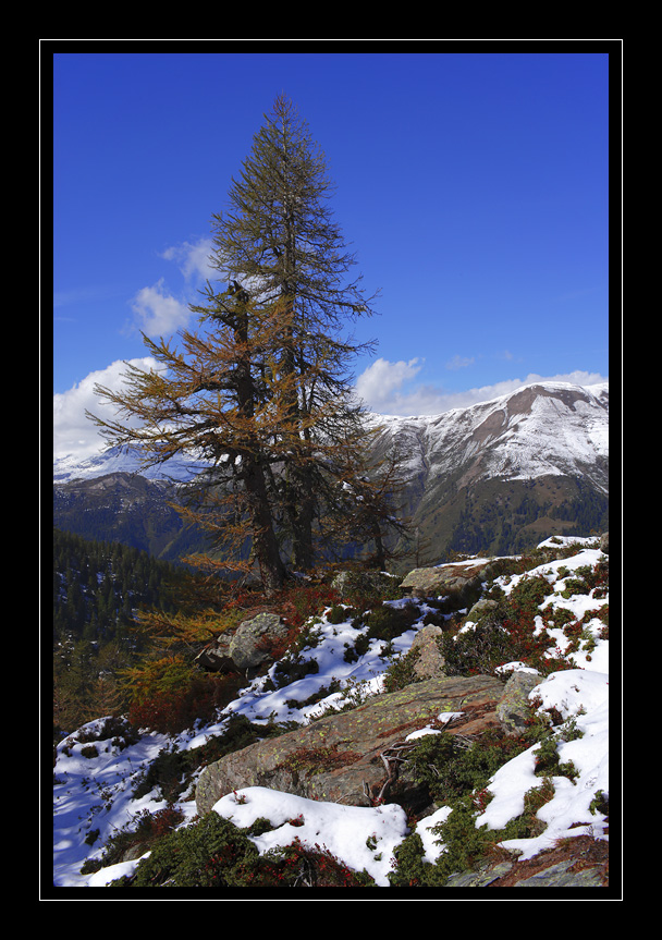Manniboden #9744