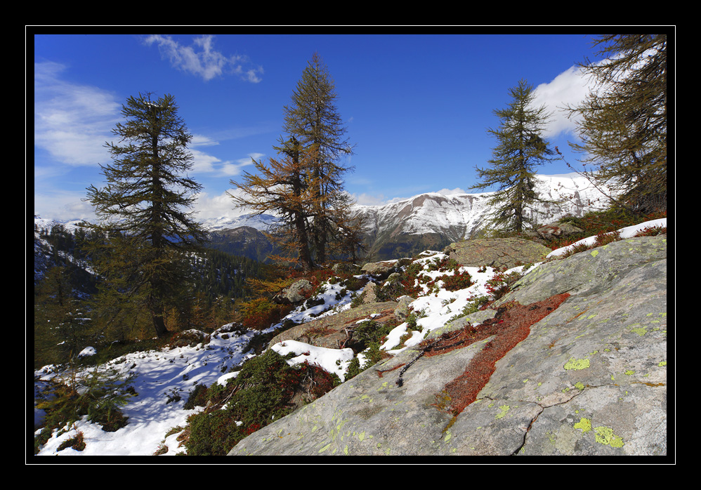 Manniboden #9748