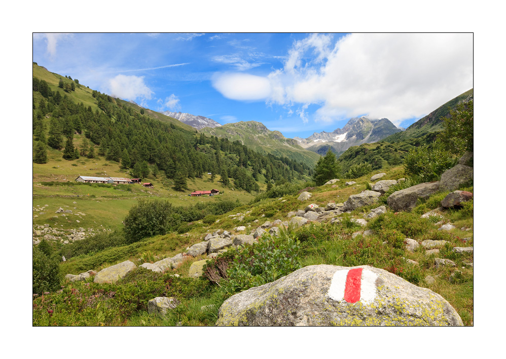 Binntal Brunnebiel #29892