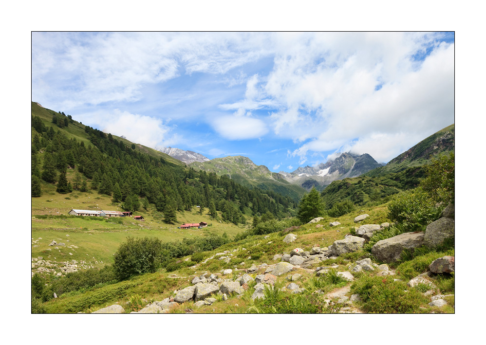 Binntal Brunnebiel #29906