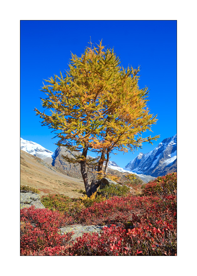 Herbst im Lötschental #31201
