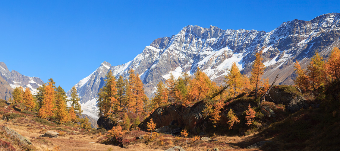 Herbst im Lötschental Pano #31224