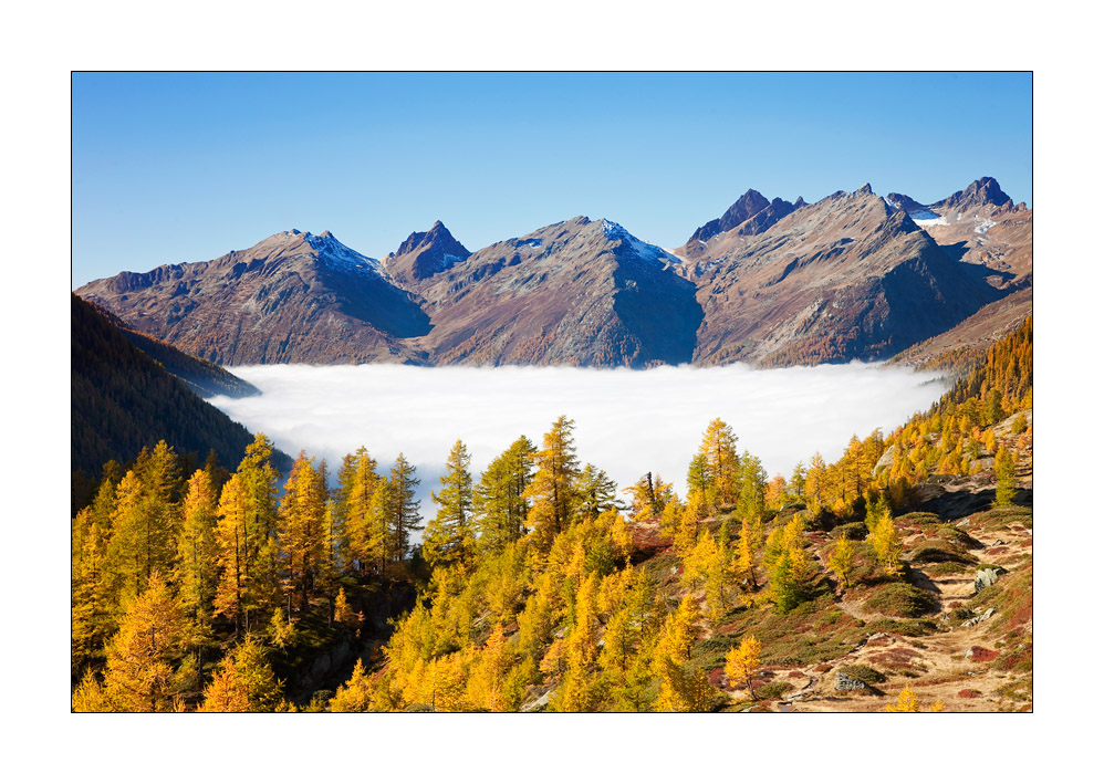Nebelmeer im Lötschental #31154