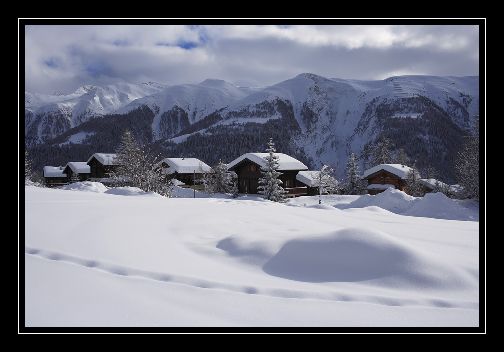 Bellwald #12534