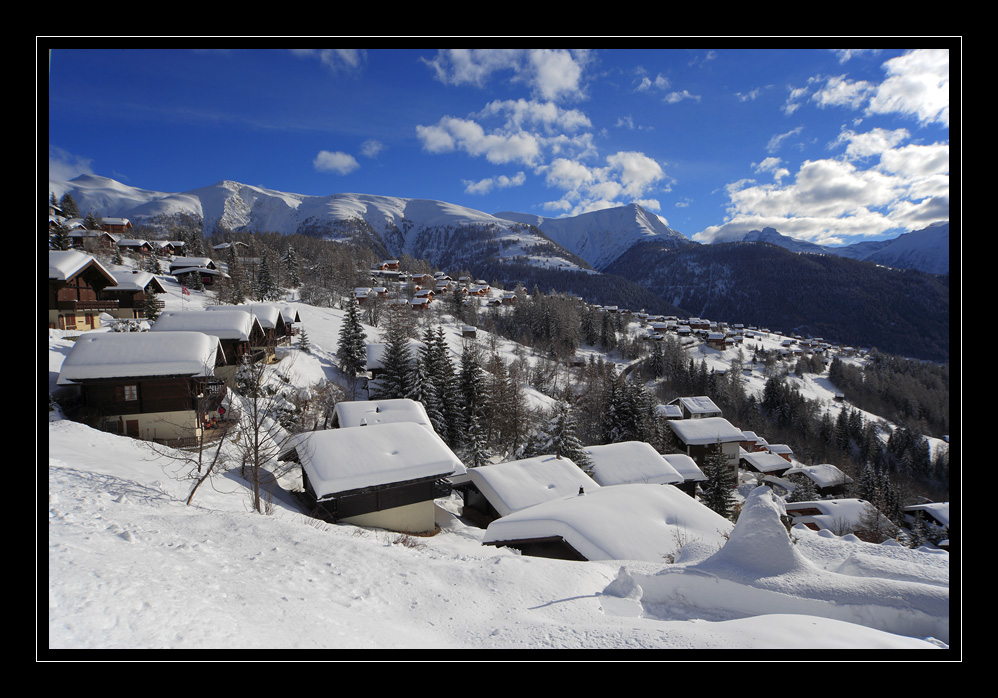 Bellwald #12540