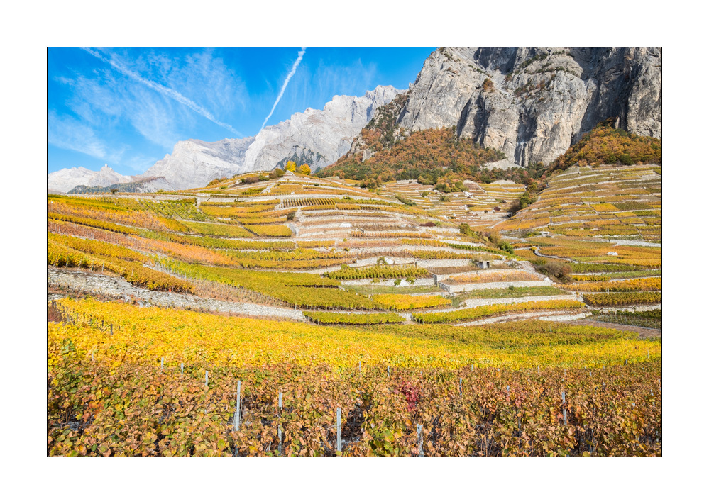 Chamoson Rebberge #F00498