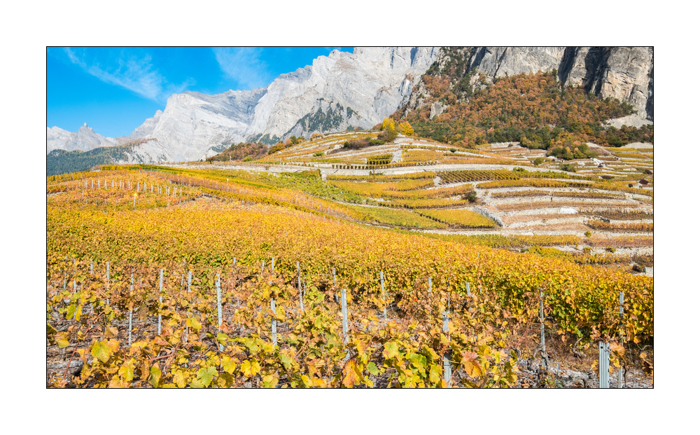 Chamoson Rebberge #F00500