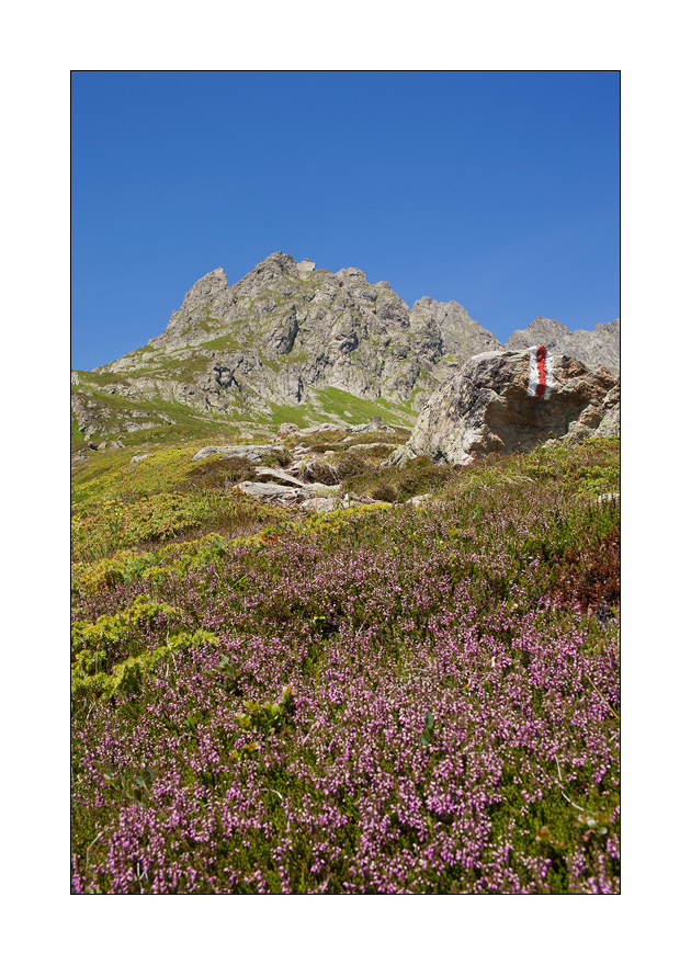 Wanderweg Sewenstock #22646