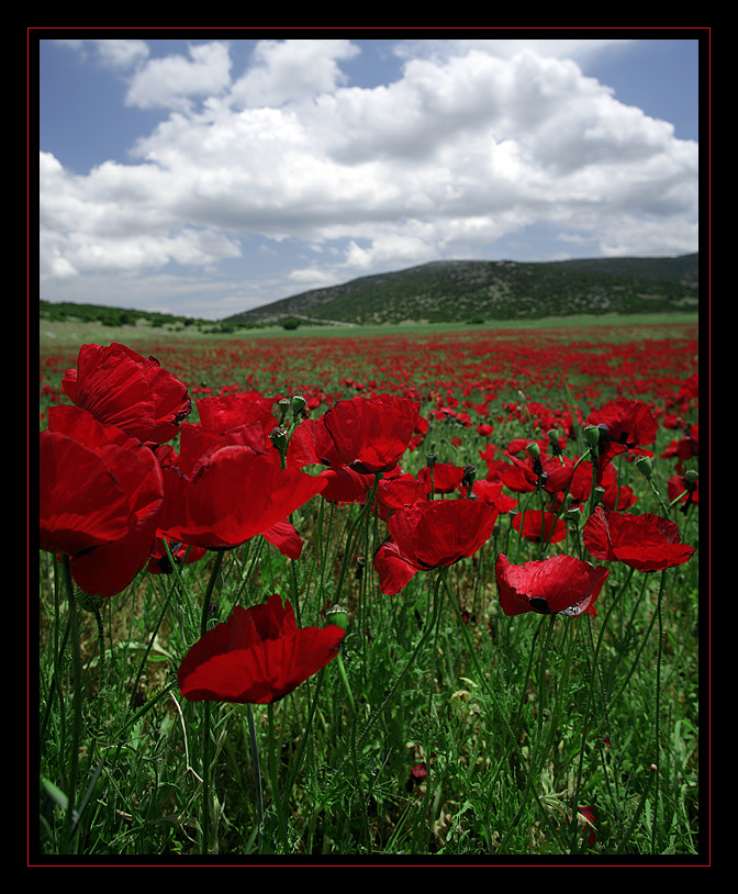 Peloponnes #0431