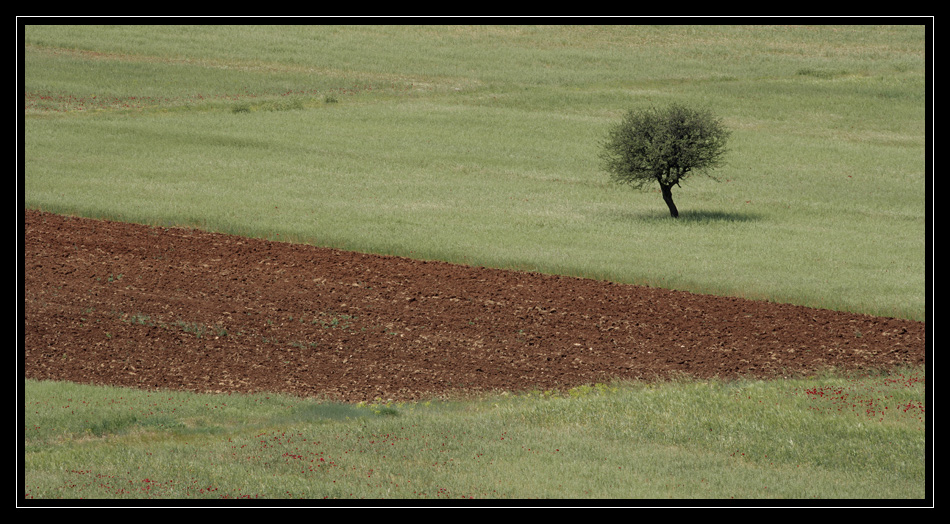 Peloponnes #0412