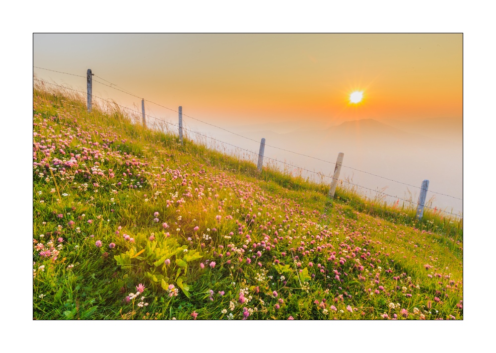 Rigi Sonnenaufgang #32684
