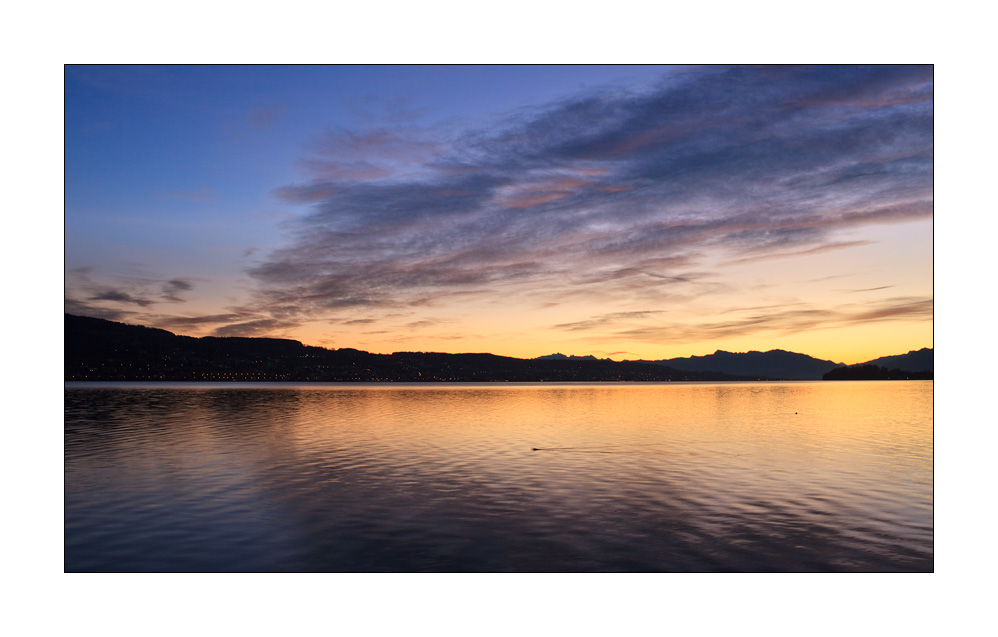 Zürichsee #31246