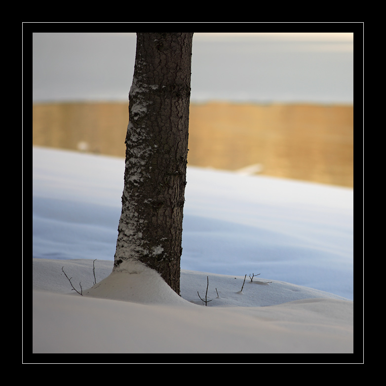 Walchensee #2779