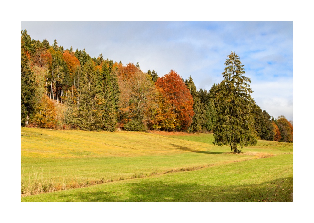 Walchensee #5ds03291