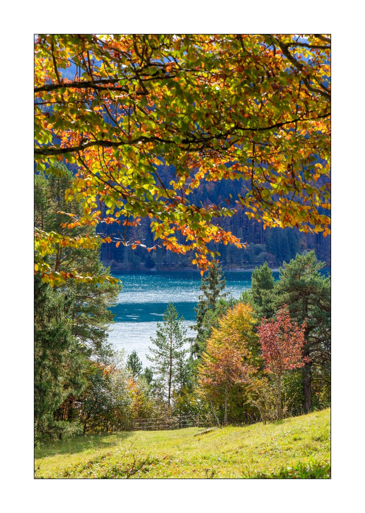 Walchensee #5ds03306