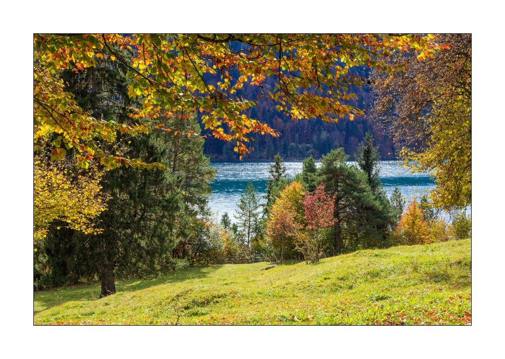 Walchensee #5ds03311