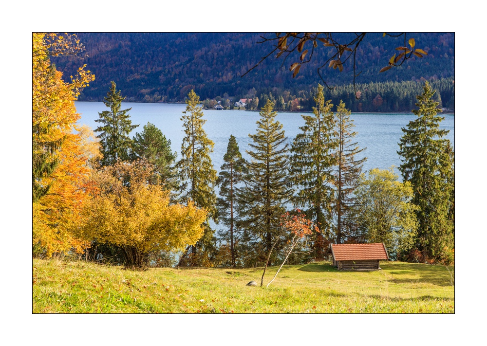 Walchensee #5ds03316