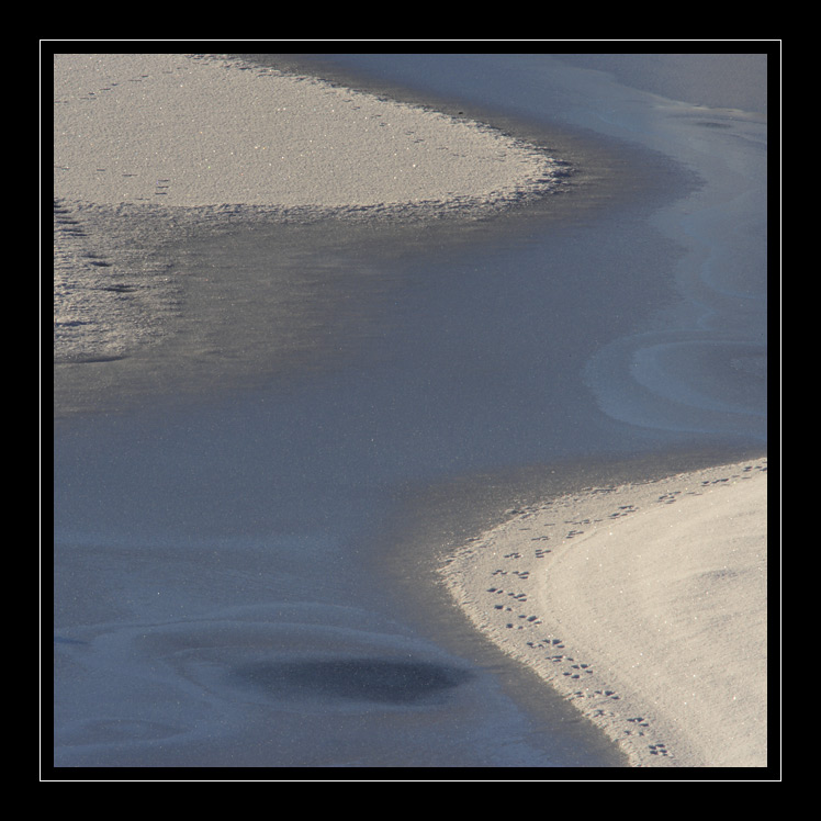 Eisschlange #2762