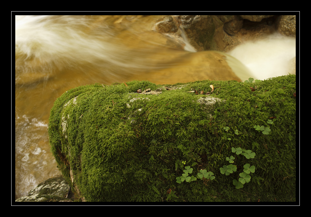 Twannbachschlucht #8984