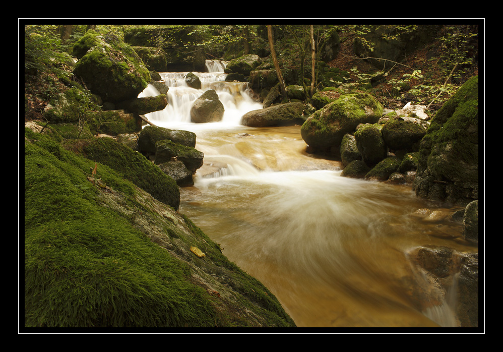 Twannbachschlucht #8955