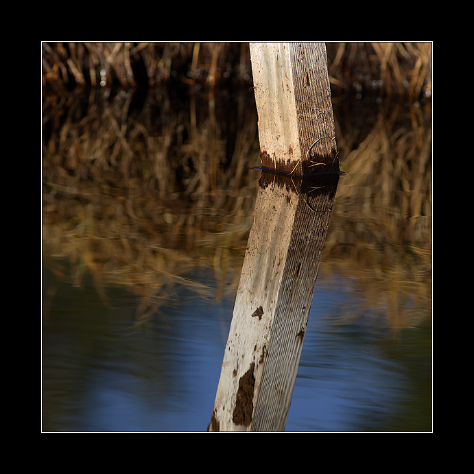 Wasser Pfahl #1942