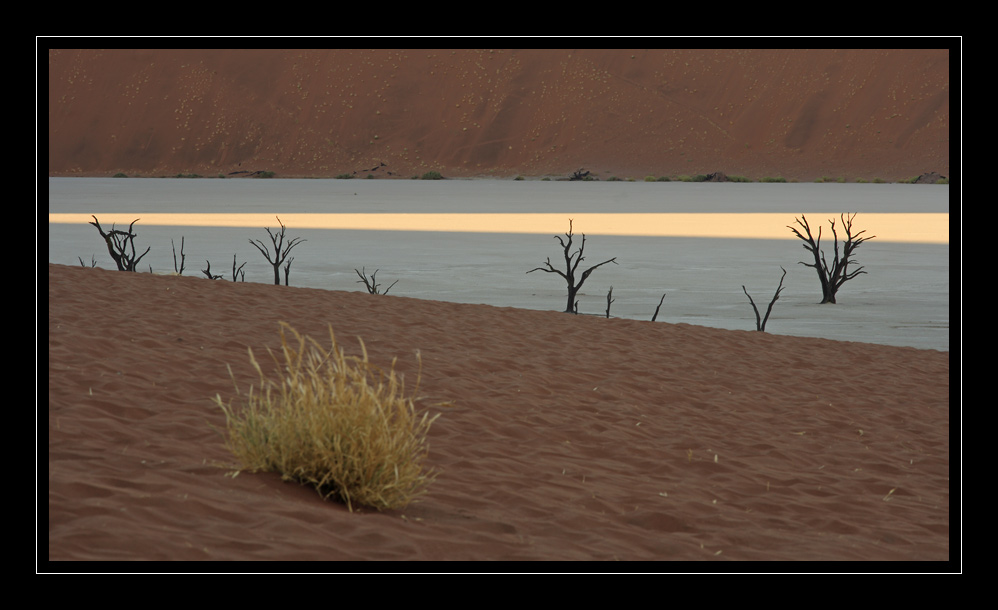 Dead Vlei #6152