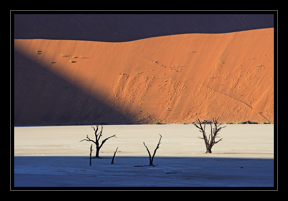 Dead Vlei #6160