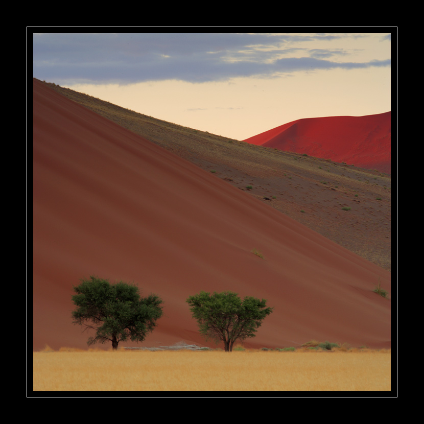 Sossusvlei #6288