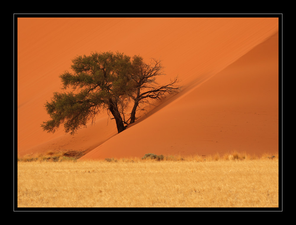 Sossusvlei #6309