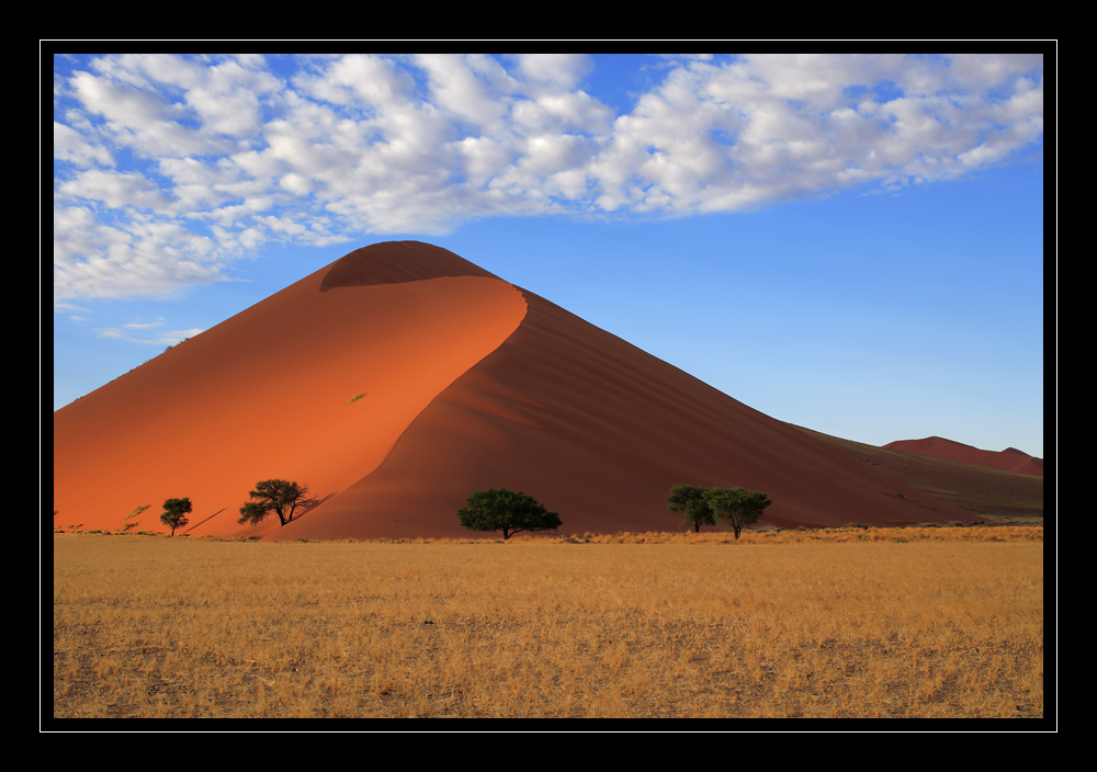 Sossusvlei #6318