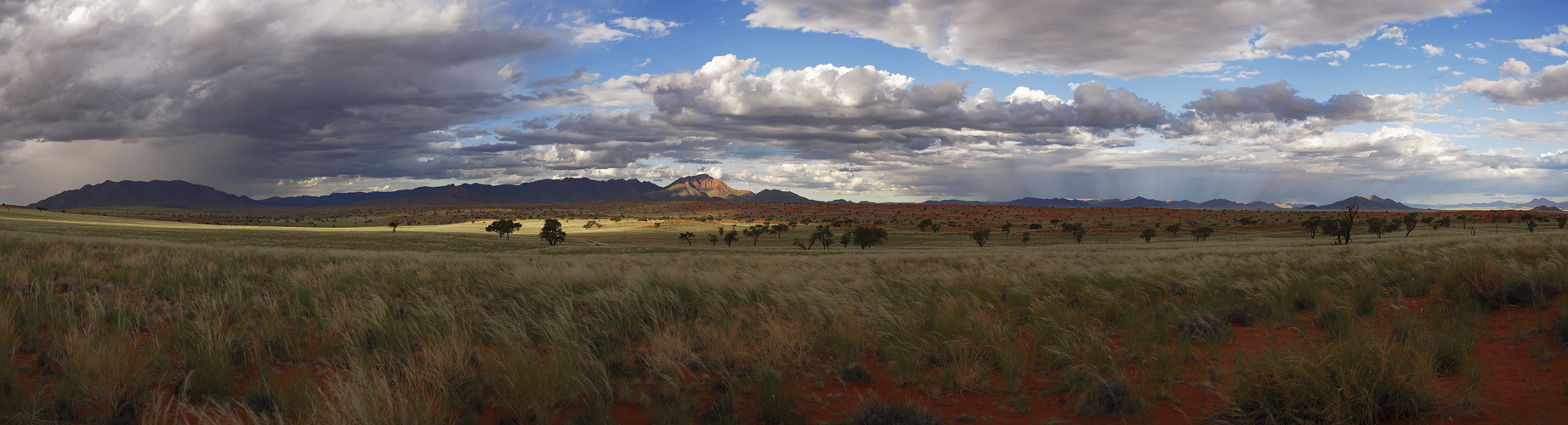 Wolwedans Pano #04