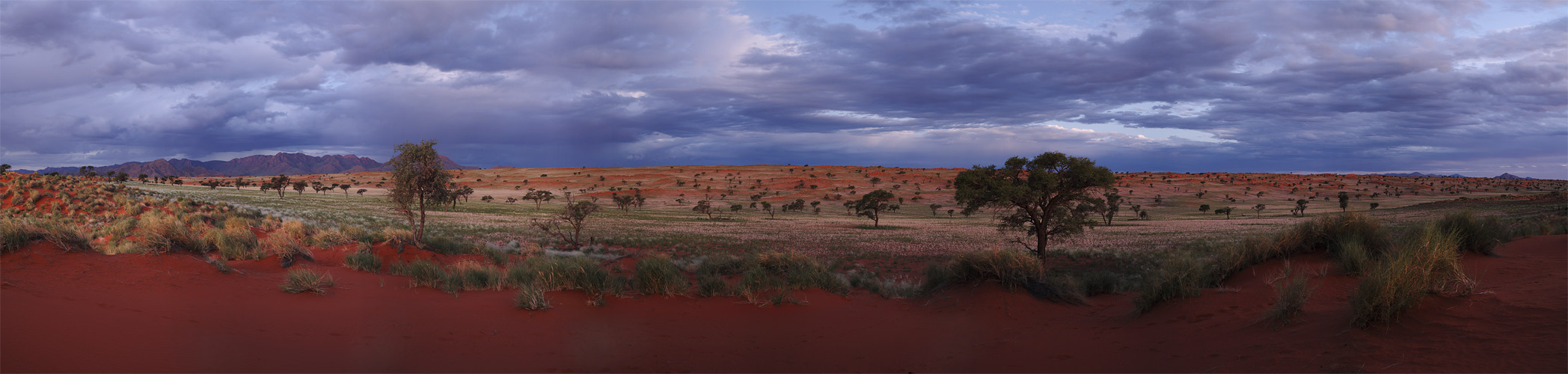 Wolwedans Pano #05