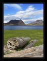 Westfjorde #14590