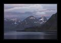 Westfjorde #14684