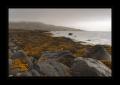 Westfjorde #14943