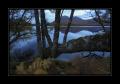 Schottland #10402