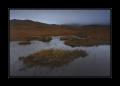 Schottland #10481