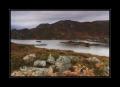 Schottland #10532