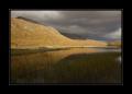 Schottland #10097