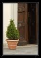 Kirchtuer Gentilino #3888