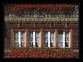 Hausfassade #4764