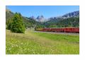 rhaetische Bahn #5ds00022